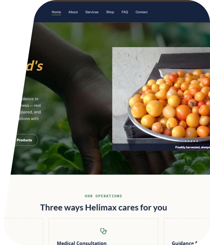 The Helimax website, built with Plexo